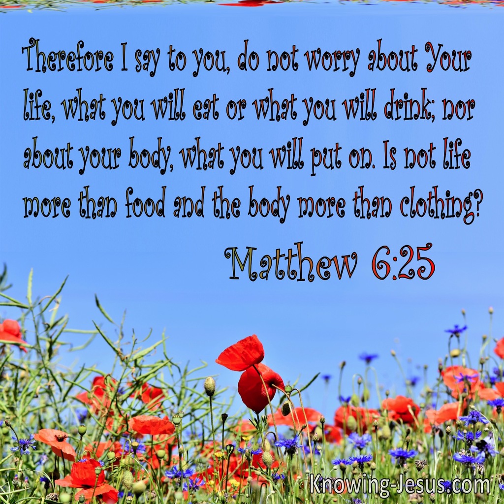 Matthew 6:25 Do Not Worry Is Not Life More Than Food And The Body Than Clothing (blue)